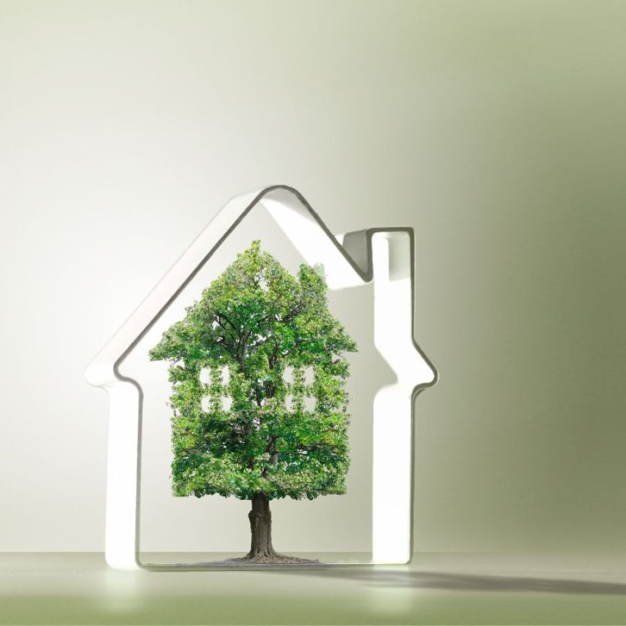 Fai delle scelte ecosostenibili per la tua casa 